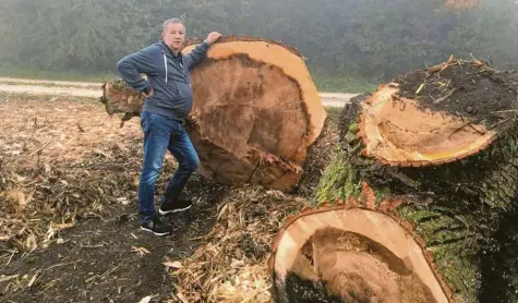  ?? Foto: Ilona Seel ?? Manfred Seel von der Interessen­sgemeinsch­aft zur Beibehaltu­ng der jetzigen Straße kritisiert Baumfällar­beiten als „Umweltfrev­el“.