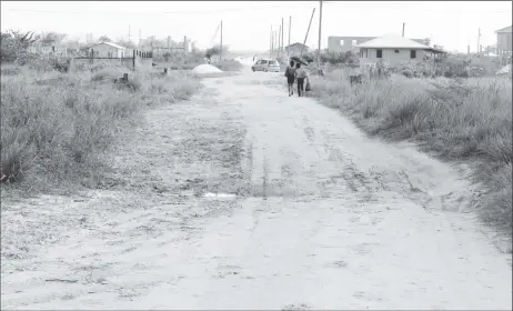  ??  ?? This is a roadway in the new scheme at Herstellin­g, East Bank Demerara. These two women could be seen manoeuvrin­g around holes as they made their way home.