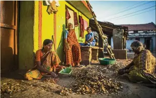  ??  ?? Better sentiment: A file picture showing women sorting nuts outside their home in the village of Kuragunda, India. M&M Financial says income from farm produce and government’s infra spend are leading to an improvemen­t in rural sentiment — Bloomberg