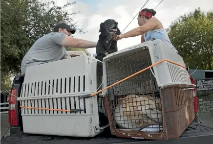  ?? WASHINGTON POST ?? Volunteer Korey Shaffer, left, who travelled from Florida to help flood victims, and Tatiana Braum, whose mother runs the Hi Tower Kennels in Beaumont, Texas, prepare to move the sickest dogs to safety.