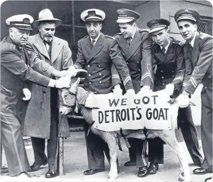  ??  ?? After Murphy the goat was ejected from the stadium, owner Billy cast a curse on the team.