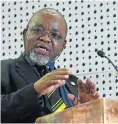  ??  ?? Mineral resources minister Gwede Mantashe.