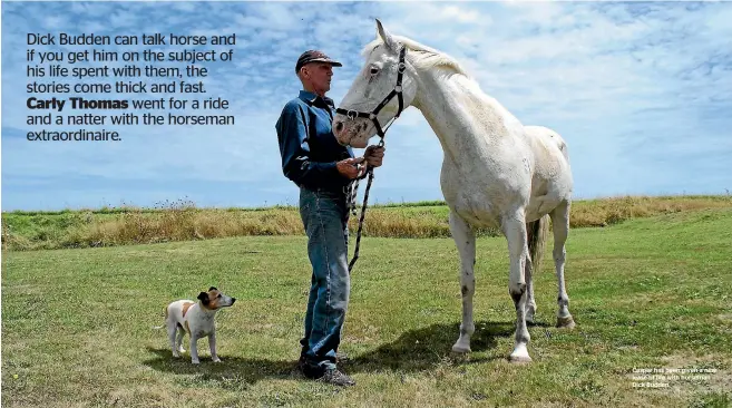  ?? PHOTOS: CARLY THOMAS/FAIRFAX NZ ?? Casper has been given a new lease of life with horseman Dick Budden.