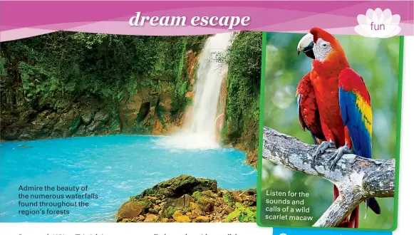  ??  ?? Admire the beauty of the numerous waterfalls found throughout the region’s forests Listen for the sounds and calls of a wild scarlet macaw