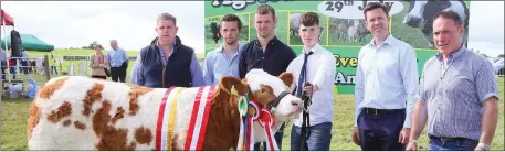  ?? Photo © Michael Donnelly ?? Paul Mullarkey, Ballinfull Co Sligo showing Supreme Champion of Show at Ballinrobe Agricultur­al Show 2018 included in photo from left: Andrew McCarthy Mullagh Co Clare; Declan and Martin McLaughlin, (Judges) Paul Mullarkey, (Handler)and Chris White (judges) and Kieran Mullarkey (owner).