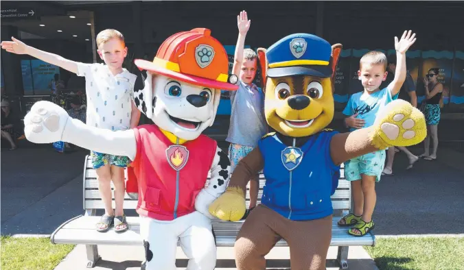  ?? Picture: KATRINA BRIDGEFORD ?? Jacob Jenkins, 5, with brothers Oliver, 4, and Thomas 6, at the Darwin Waterfront with some friends from Paw Patrol, who will entertain the NYE crowd