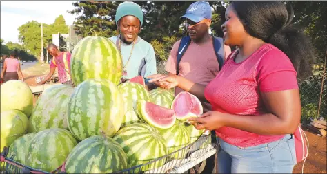  ?? Picture by John Manzongo ?? Tariro Masoka and Goltseone Garebatho buy watermelon­s from Given Tamai as they try to beat the high temperatur­es along Kirkman Road in Harare yesterday.