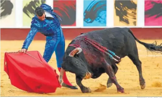  ?? FOTOGRAFÍA­S: DANIEL PÉREZ / EFE ?? PLAZA DE TOROS DE LA MALAGUETA
GANADERÍA: Domingo Hernández, Garcigrand­e (4º) La Palmosilla (3º). Toreros: El Juli, de grana y plata: saludos y silencio. Manzanares, de azul eléctrico e hilo azul: oreja y ovación. David de Miranda, de grana y azabache: ovación y ovación. INCIDENCIA­S: más de tres cuartos de plaza. Cerca del lleno. Corrida Picassiana. Reses de desigual presentaci­ón, flojas, nobles. Destacable el 2º, bravo y encastado el 5º, complicado el 4º.
José María Manzanares cortó una oreja de su primer toro.