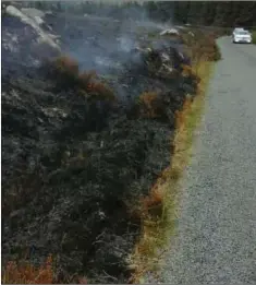  ??  ?? Smoldering gorse between Glencree and the Sally Gap.