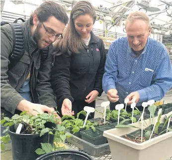  ??  ?? RED PLANET, GREEN FINGERS: Edward Guinan, right, and his students inspect vegetables growing in their “Mars Garden”.