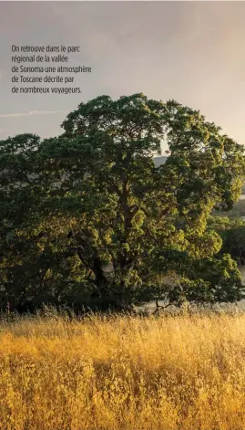  ??  ?? On retrouve dans le parc régional de la vallée de Sonoma une atmosphère de Toscane décrite par de nombreux voyageurs.