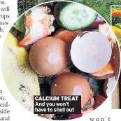  ??  ?? CALCIUM TREAT And you won’t have to shell out