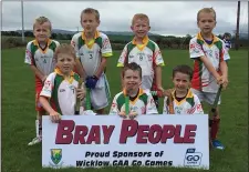  ??  ?? Kiltegan hurlers ready for action at the monster blitz in Ballinakil­l.