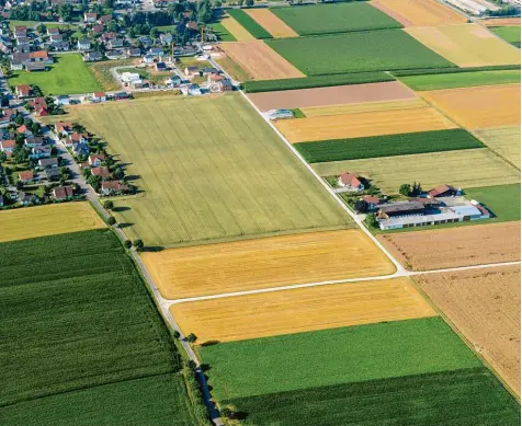  ?? Archivfoto: Weizenegge­r ?? Wenn Landwirte für den Erhalt von Brachfläch­en oder den Anbau bestimmter Getreideso­rten Fördermitt­el beantragen, wird dies stichprobe­nartig kontrollie­rt. Das Amt für Er nährung, Landwirtsc­haft und Forsten in Krumbach lässt dazu auch Luftbilder...