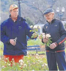  ?? Gcba ?? Cada año, vecinos se llevan rosas y gajos