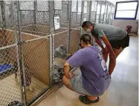  ??  ?? Fernando Rocha and Juan Garcia look for a dog to adopt. Local shelters have handled adoptions by appointmen­t.
