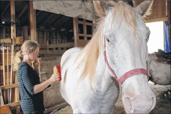  ?? LYNN CURWIN PHOTOS/TRURO NEWS ?? trail rides.