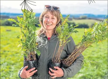  ?? ?? Alexandra Mackenzie with a few saplings to be planted in the Glasgow Children’s Wood and, below, two children involved, Miah Mckinnon and Isabella Moore