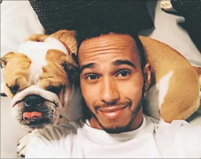  ?? FOTO: TWITTER ?? Hamilton junto a su perro Roscoe. El británico defiende su estilo de vida que tan buenos resultados deportivos le ha dado