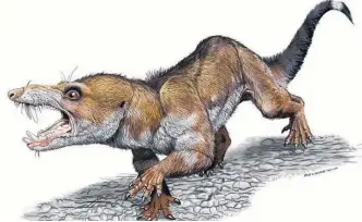  ?? TÉLAM ?? ESTE PEQUEÑO animalito fue hallado junto a dos nuevas especies de dinosaurio­s primitivos.