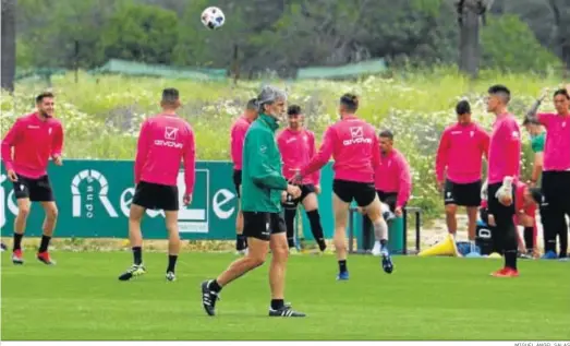  ?? MIGUEL ÁNGEL SALAS ?? Pablo Alfaro camina por la Ciudad Deportiva ante la presencia de sus jugadores.