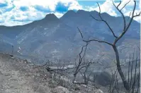  ??  ?? Die fotograaf, Allen Jorgenson, sê hy het nog nooit in al sy jare gesien dat die Ouiteniqua­berge na ‘n brand só kaalgestro­op is nie.