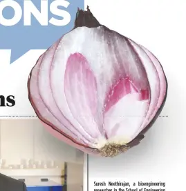  ?? [SUBMITTED] ?? Suresh Neethiraja­n, a bioenginee­ring researcher in the School of Engineerin­g at the University of Guelph, sees local onions as a good source for producing antioxidan­t nutraceuti­cals.