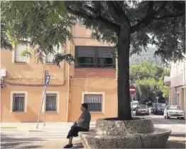  ?? Mònica Mira ?? Los árboles de la avenida Sud-oest requieren alcorques nuevos.