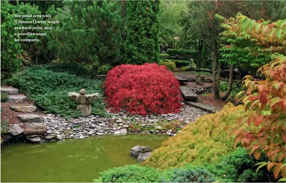  ??  ?? The pond area with ‘Crimson Queen’ maple as a focal point, and a guardian angel for company.