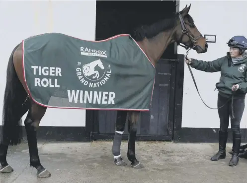  ??  ?? 0 Two-time Grand National winner Tiger Roll has been withdrawn from this year’s race due to an ‘unfair weight burden’