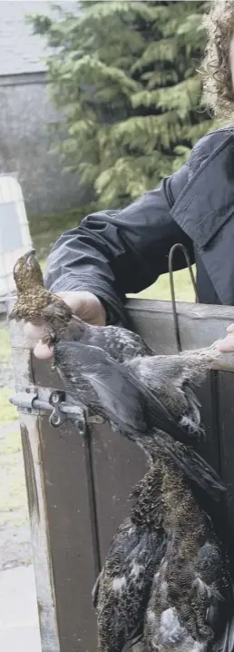  ??  ?? Chef Tom Kitchin may use Scottish produce like grouse but visitors found they were more likely to be supplied with bland food or burgers, inset