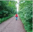  ?? Foto: Bosch ?? Eine Spaziergän­gerin unterwegs im Er holungswal­d Königsgeha­u.
