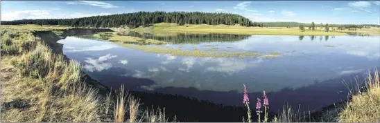  ?? Christophe­r Reynolds Los Angeles Times ?? HAYDEN VALLEY in Yellowston­e. President Grant establishe­d the national park while making it easy to extract valuable minerals from almost anywhere.