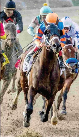  ?? ANN SWITALSKI/HODGES PHOTOGRAPH­Y ?? Noble Indy, who won the Grade 2 Louisiana Derby last month, will have another workout at Palm Beach Downs next Friday.
