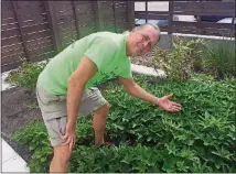  ?? MICHAEL BARNES/AMERICAN-STATESMAN ?? Dr. John Day shows off his healthy life garden at the People’s Community Clinic.