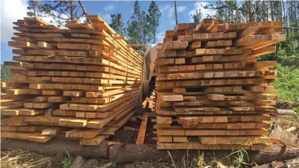  ??  ?? Timber ready from fallen trees. This is for the TC Harold Housing Rehabilita­tion Programme in Kadavu.