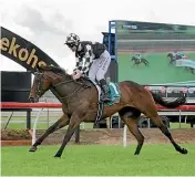  ?? TRISH DUNELL ?? Jonathan Riddell lets Darci La Bella glide across the line as she wins the Group II Dunstan Feeds Auckland Thoroughbr­ed Breeders Stakes (1400m) in Pukekohe on Saturday.