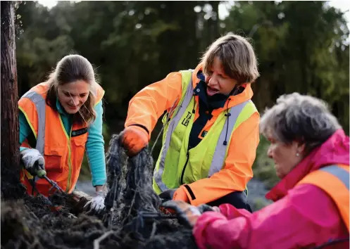  ??  ?? TOP / Rianne, Rachel and Nancy pull apart a bundle of foliage in an attempt to extract plastic netting. ABOVE / Volunteers worked together through cold and wet conditions.