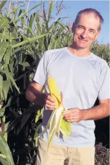  ??  ?? Gilles Tremblay effectue plusieurs tests visant à prédire les dates de maturité du maïs-grain dans différente­s régions. Il estime ainsi que les récoltes auront lieu plus tôt cette année.