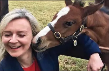  ??  ?? HORSING AROUND: Internatio­nal Trade Secretary Liz Truss gets up close with a foal during a farm visit