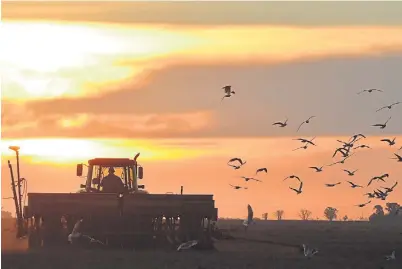  ??  ?? Horizonte. Para Iguerabide, la innovación es estratégic­a para el agro, pero también la sustentabi­lidad y la integració­n.