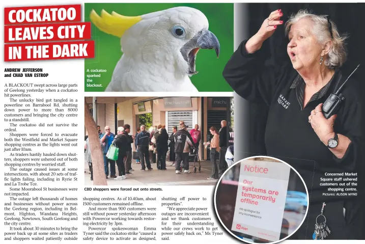  ?? Pictures: ALISON WYND ?? A cockatoo sparked the blackout.
CBD shoppers were forced out onto streets.
Concerned Market Square staff ushered customers out of the shopping centre.