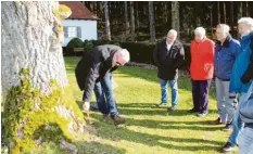  ??  ?? Bauhofleit­er Rainer Höfle zeigt den Gemeinderä­ten die Schadstell­en an der Eiche auf dem Friedhof.