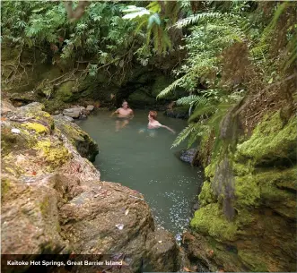  ??  ?? Kaitoke Hot Springs, Great Barrier Island