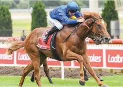  ?? ?? Paulele, already a G1 winner of the G1 ↑ Winterbott­om Stakes in Perth, has Ben Melham in the saddle and has drawn barrier 16.