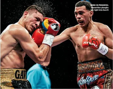  ?? Photos: ROSIE COHE/SHOWTIME ?? WORK IN PROGRESS: Benavidez ploughs his right into Gavril