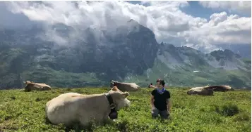  ??  ?? Gemma, and cows, on the breathtaki­ng Via Alpina trail between Engstlenal­p and Meiringen