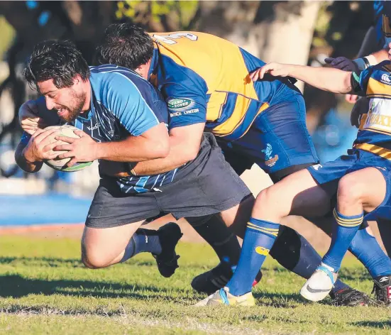  ?? Picture: RICHARD GOSLING ?? Long-serving prop Jade Brunsdon has been an inspiratio­n for the Helensvale Hogs.