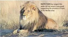  ?? ?? INSPECTION­S by rangers this week did not result in any proof suggesting the presence of lions in the Nembe area.