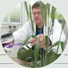  ?? CREDIT: NATALIA BATEMAN ?? Robert Sharwood is breeding wheat to thrive in future climates.